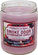 Smoke Odor 13oz Candle
