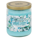 Smoke Odor 13oz Candle