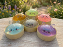 🔥Limited 🥟🌈Mystery Squishy Dumplings🥟🌈