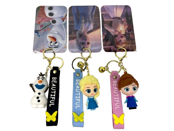 Dis Froz Keychain with Cardholder- 12pcs Assorted