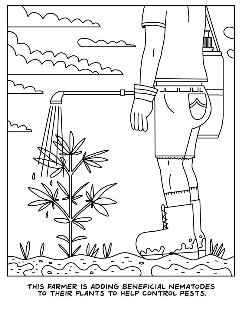 WoodRocket A VISIT TO THE CANNABIS FARM COLORING BOOK