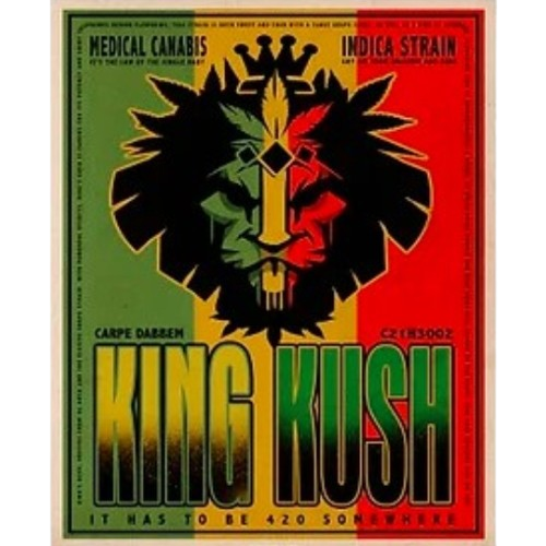 Metal Sign - 12"X15" King Kush