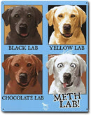 Metal Sign - Puppies